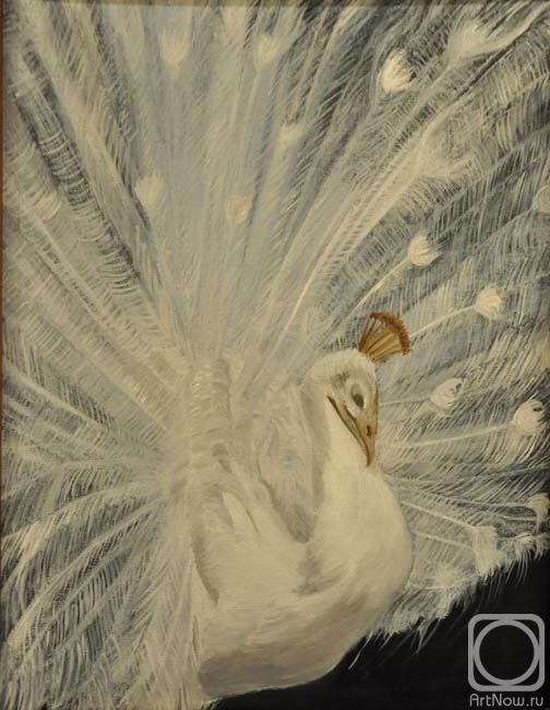 Khubedzheva Nataliya. Lacy