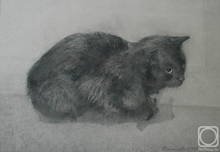 �������. �������� ������. ��� 2