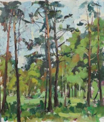 ������� ��������� ���� (����)�