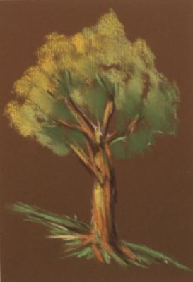 Copy 96 (tree). Lukaneva Larissa