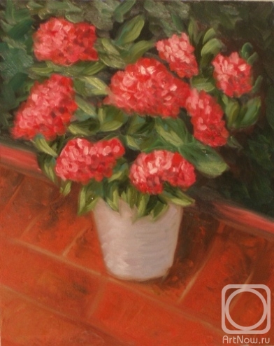 ������� ������ �� ������. �������� ������. ����� 98 (������ � �������)