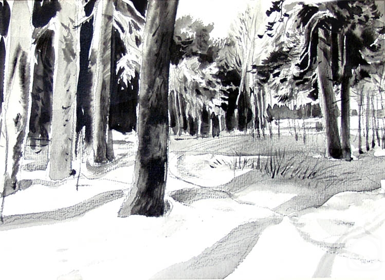 �������. ����������� ����. ��������� �������� 1-64/80