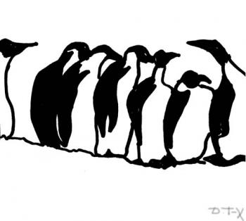 Pingviny. Torik-Hurmatova Dilara