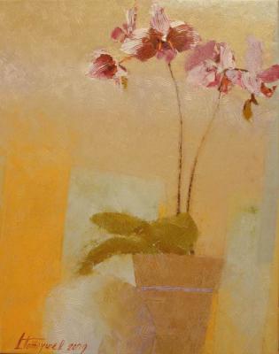 On outcome of a summer