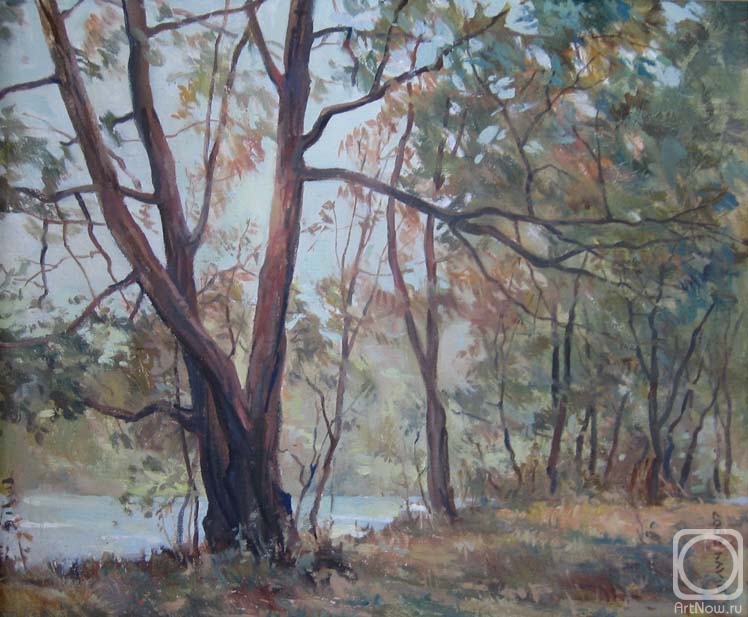 ������� ������ �� ������. ������ ��������. �������