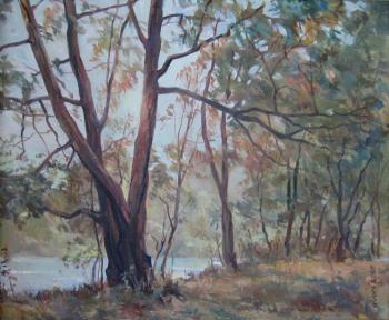 ������� ��������