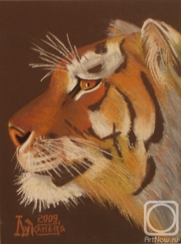 �������. �������� ������. ������ �������