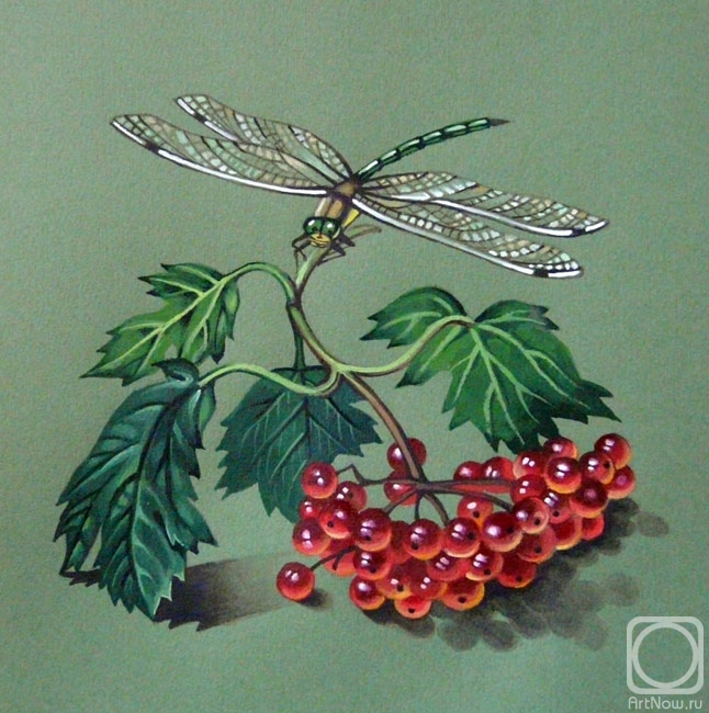 Belova Asya. Viburnum and dragonfly