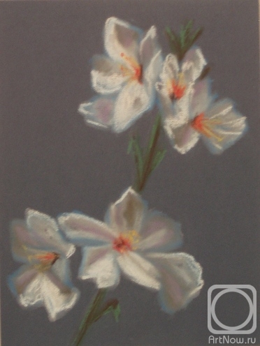 �������. �������� ������. ����� 102 (����� ������)