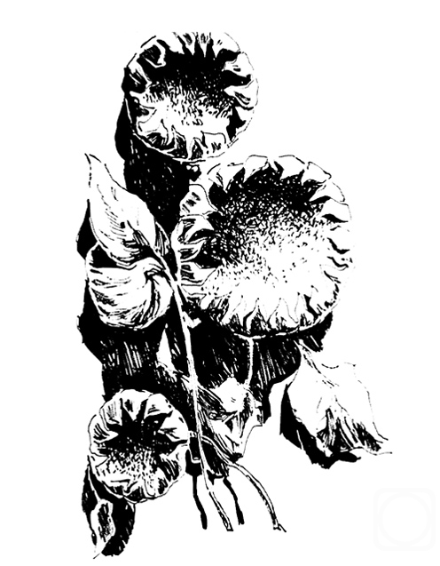 Vrublevski Yuri. Black sunflowers