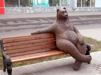 Bear ( ). Borovykh Vadim