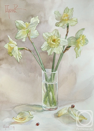 �������. ������� �����. ����� �������� � ���