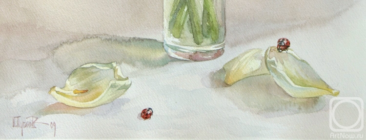 �������. ������� �����. ����� �������� � ��� (��������)