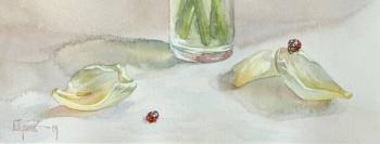 ������� ������ �������� � ��� (��������)�