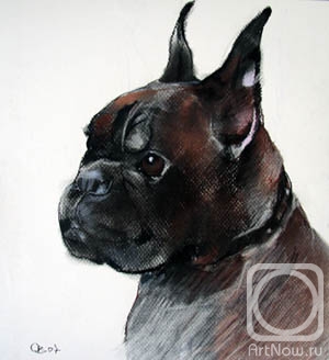 �������. �������� ������. ���������� ������ (���) (�������� �����)