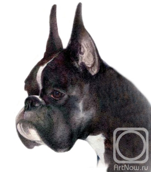 �������. �������� ������. ���������� ������ (����). �������� �����