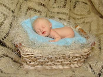 �������