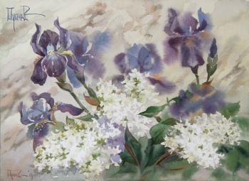 Lilacs and irises. Pugachev Pavel