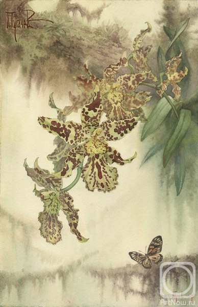 �������. ������� �����. ������� ������������� "������� ����"