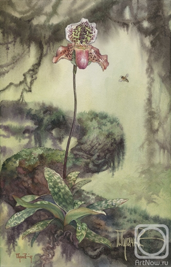 �������. ������� �����. ������� ������������ "������������� �����"