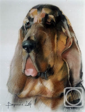 �������. �������� ������. ���������