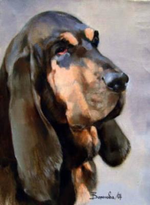 Bloodhound Avanta. Voronova Oksana
