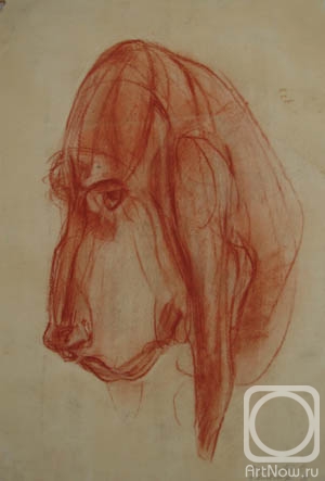 �������. �������� ������. ������ ����� (����)