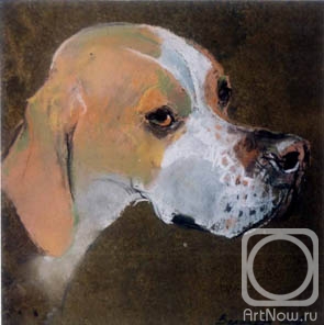 �������. �������� ������. �������