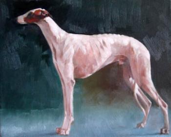 Greyhound. Voronova Oksana