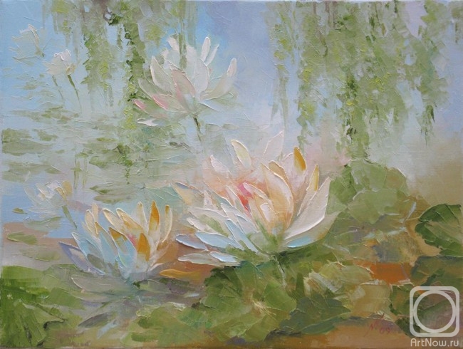 Narimanbeyli Nana. Water lilies
