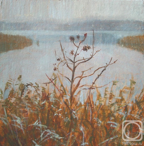 �������. �������������� ������. ������ ����