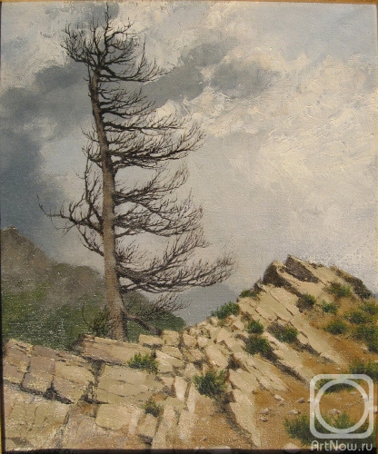 ������� ������ �� ������. ������� �������. ������ ������