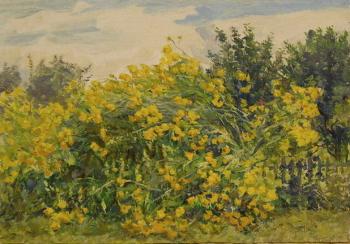 ������� �������� �����