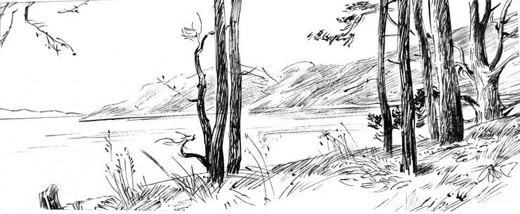 �������. ����������� ����. ��������� �������� �����. ������ - 11/85