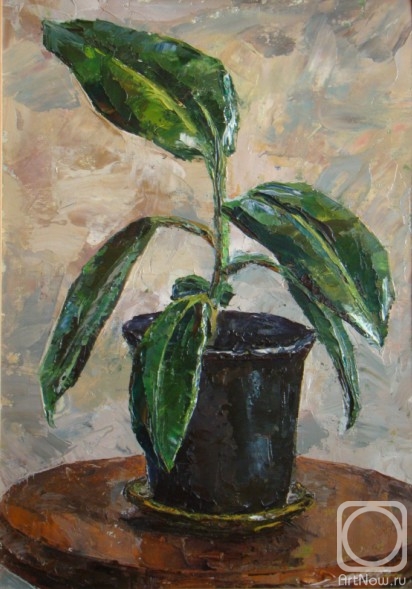 �������. ������� �������. �����