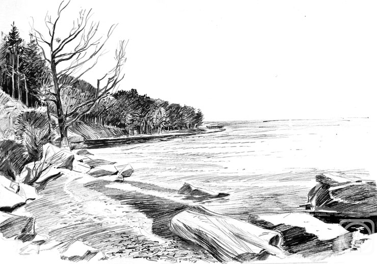 �������. ����������� ����. ��������� �������� �����. ������ - 5/94