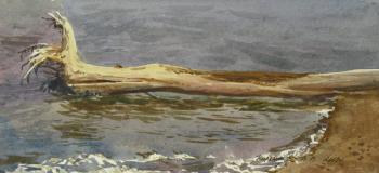 ������� �������� ������