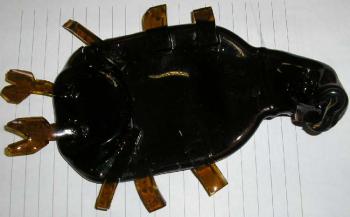 ��������. ������� �����