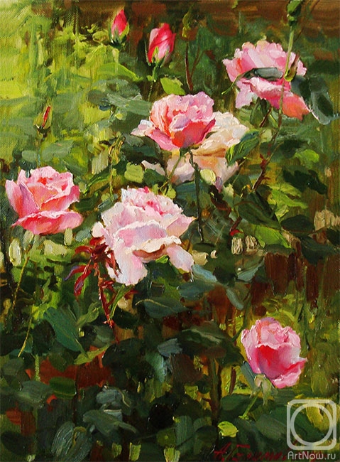 Galimov Azat. Rose Garden