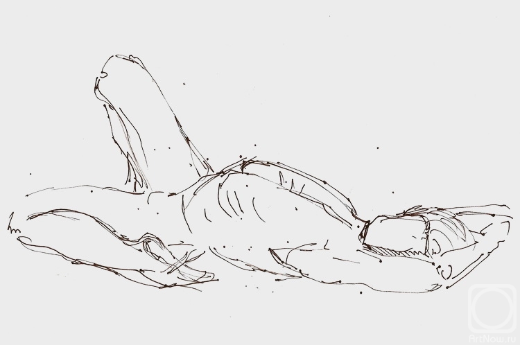 �������. �������� ����. ������� ��� ��������