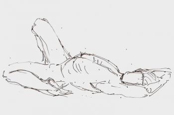 ������� ���� ���������