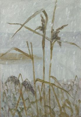 Dry herbs. Sotnikova Antonina