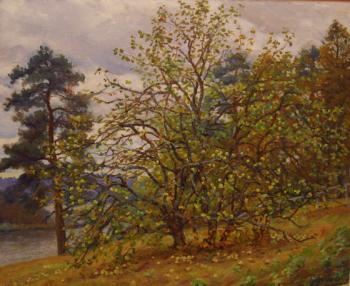 ������� �������� ������