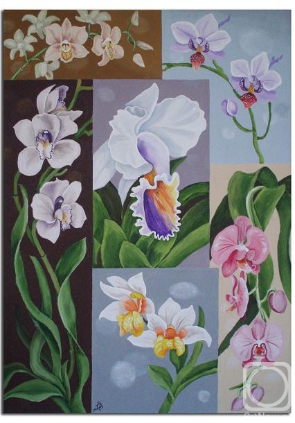 Lambeva Valentina. Whimsical orchid