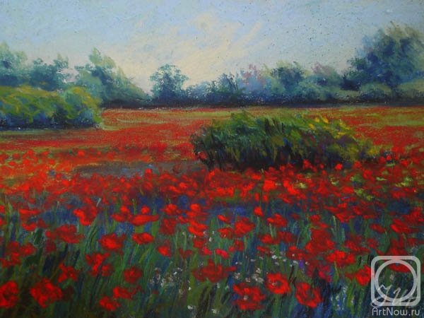 Herrero-Utiasheva Julia. Poppy landscape. Diptych. 2 part