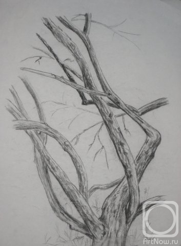 �������. ������ ����. ������