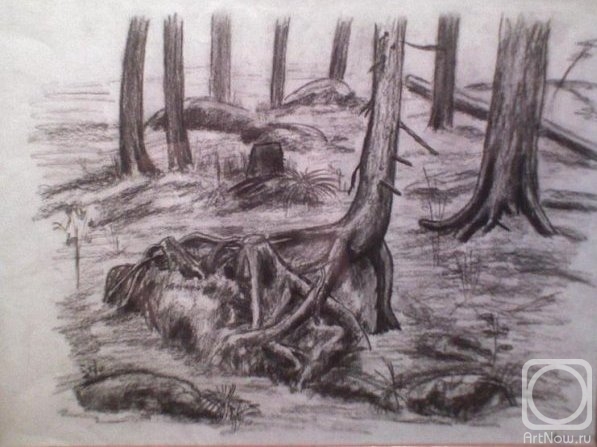 �������. ������ ����. ������-������