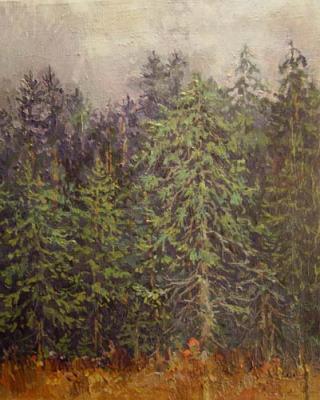 Spruce forest. Popova Anastasia
