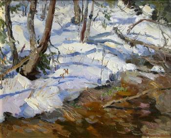 Forest Stream (Water From Melted Snow). Shevchuk Svetlana