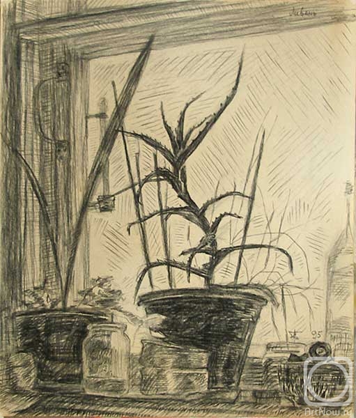 �������. ������ ����. ������